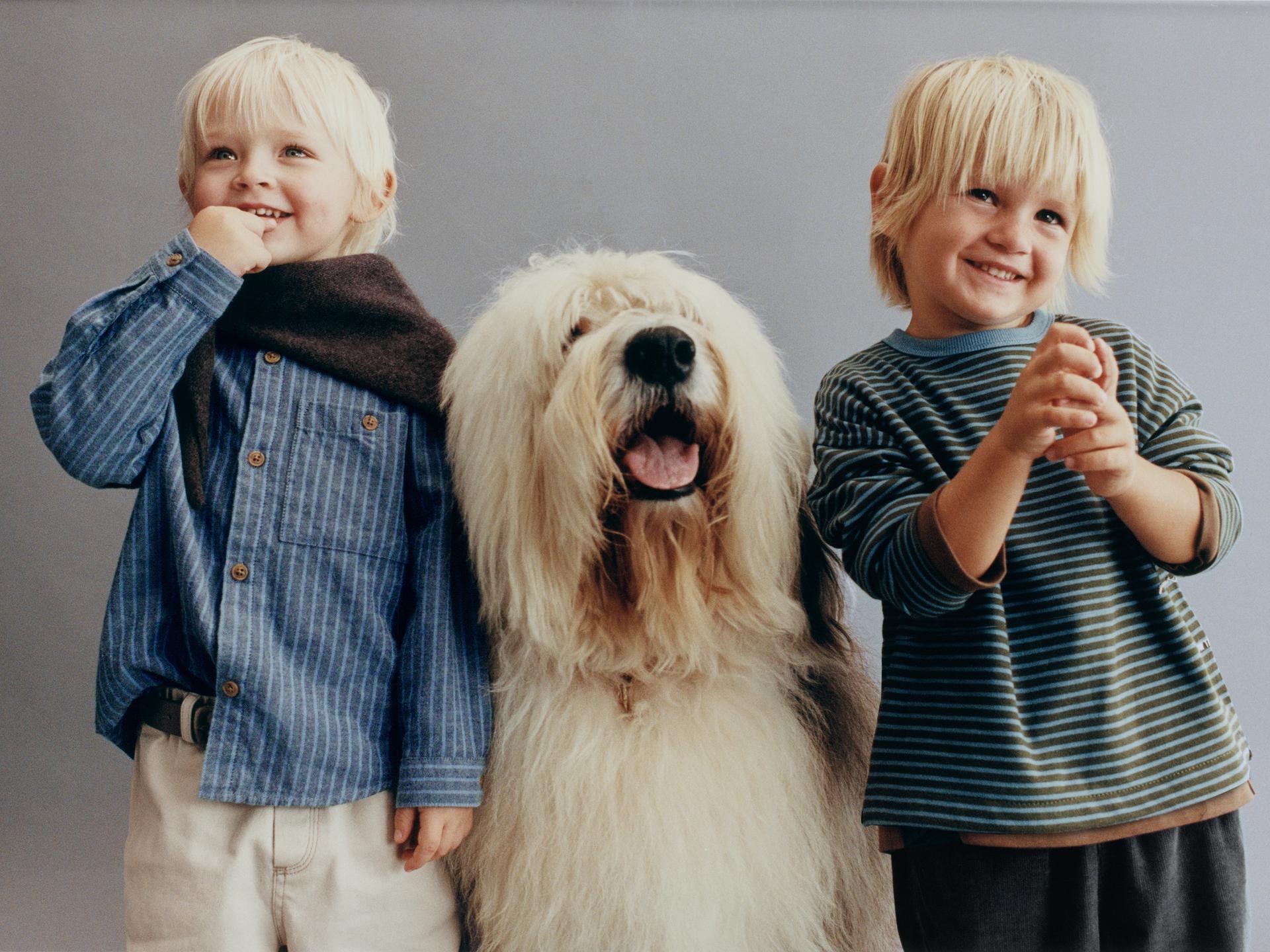 Publications home publication