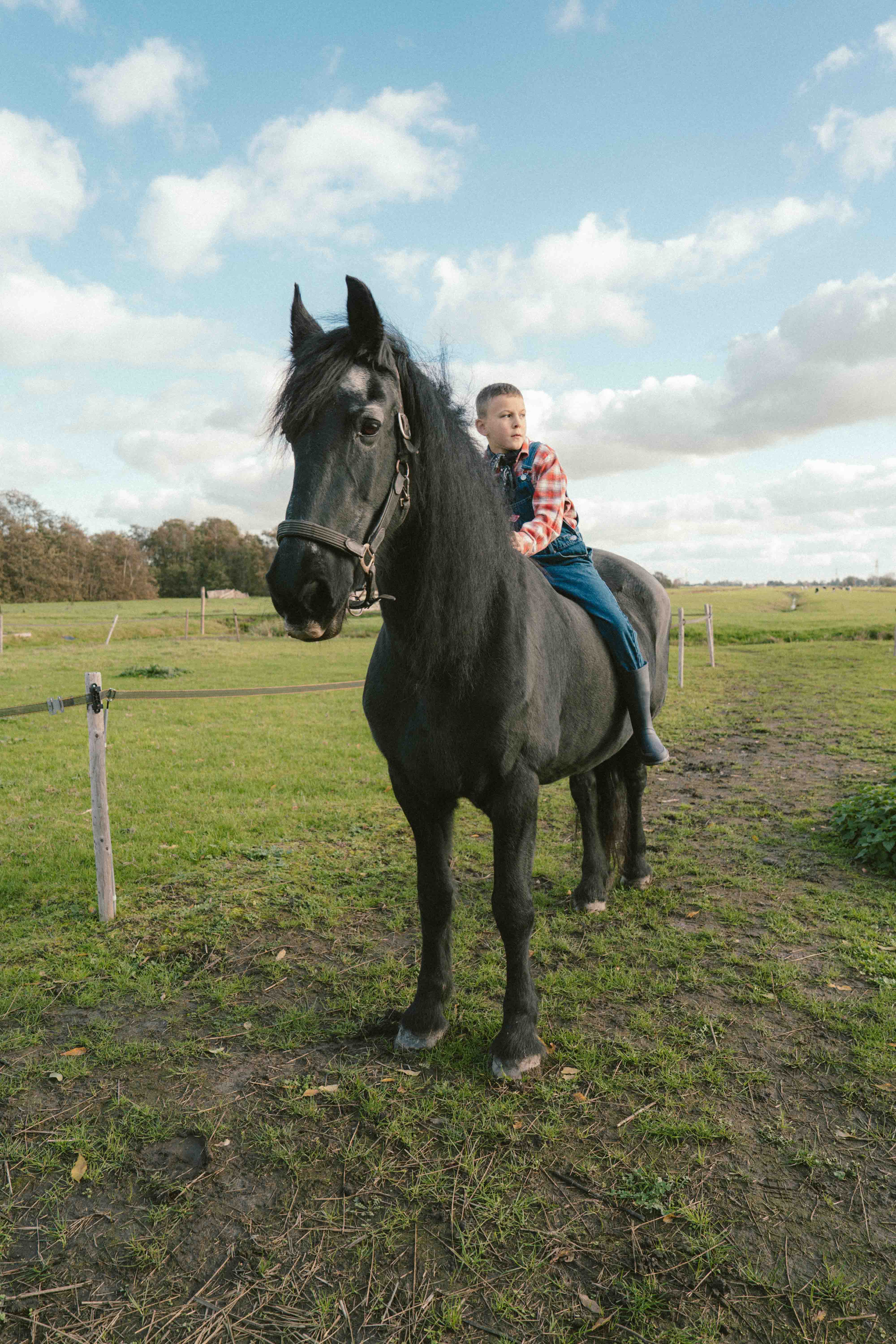 Nico Zimmermann  portfolio picture #012