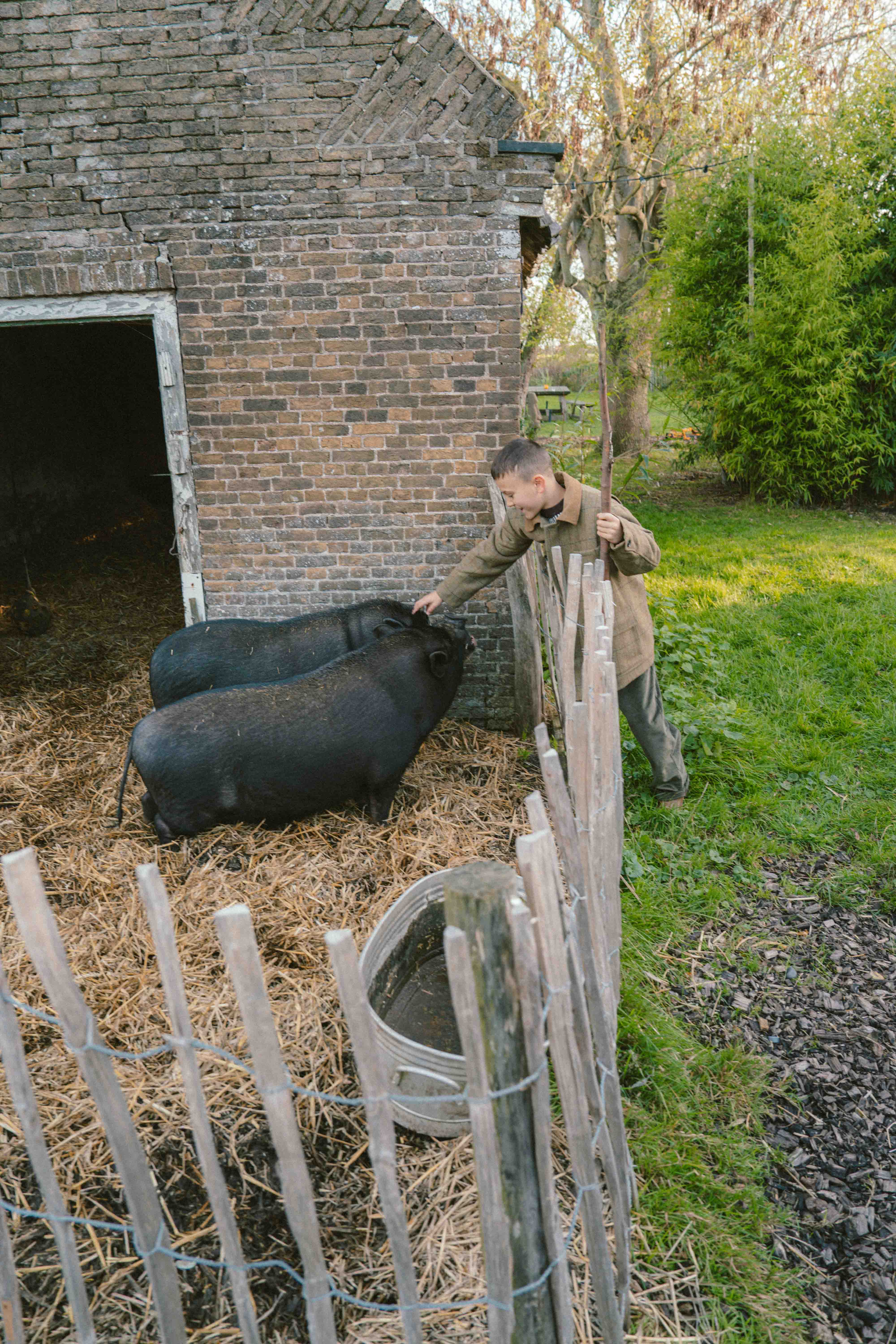 Nico Zimmermann  portfolio picture #019