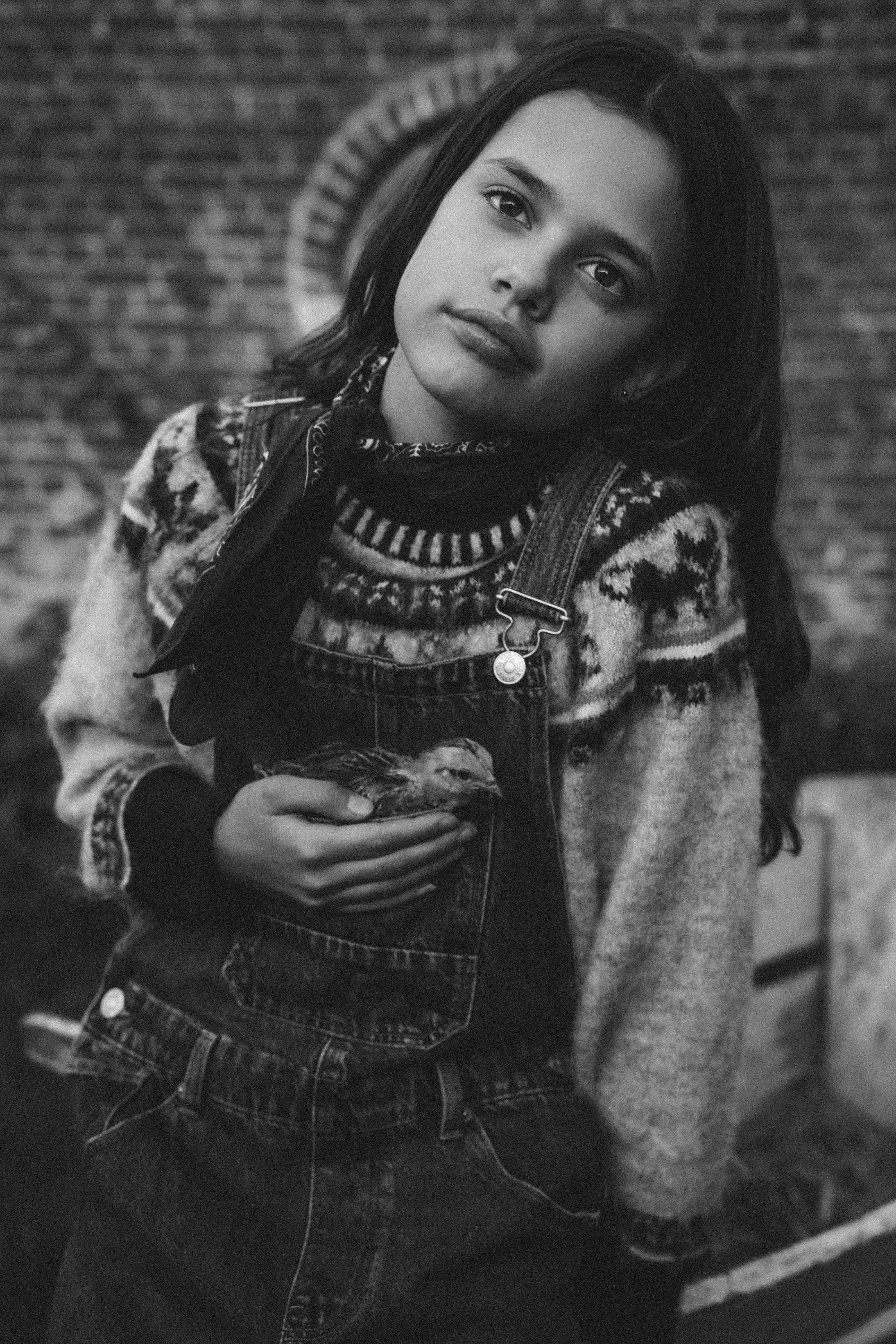 Philou Sancha  portfolio picture #013