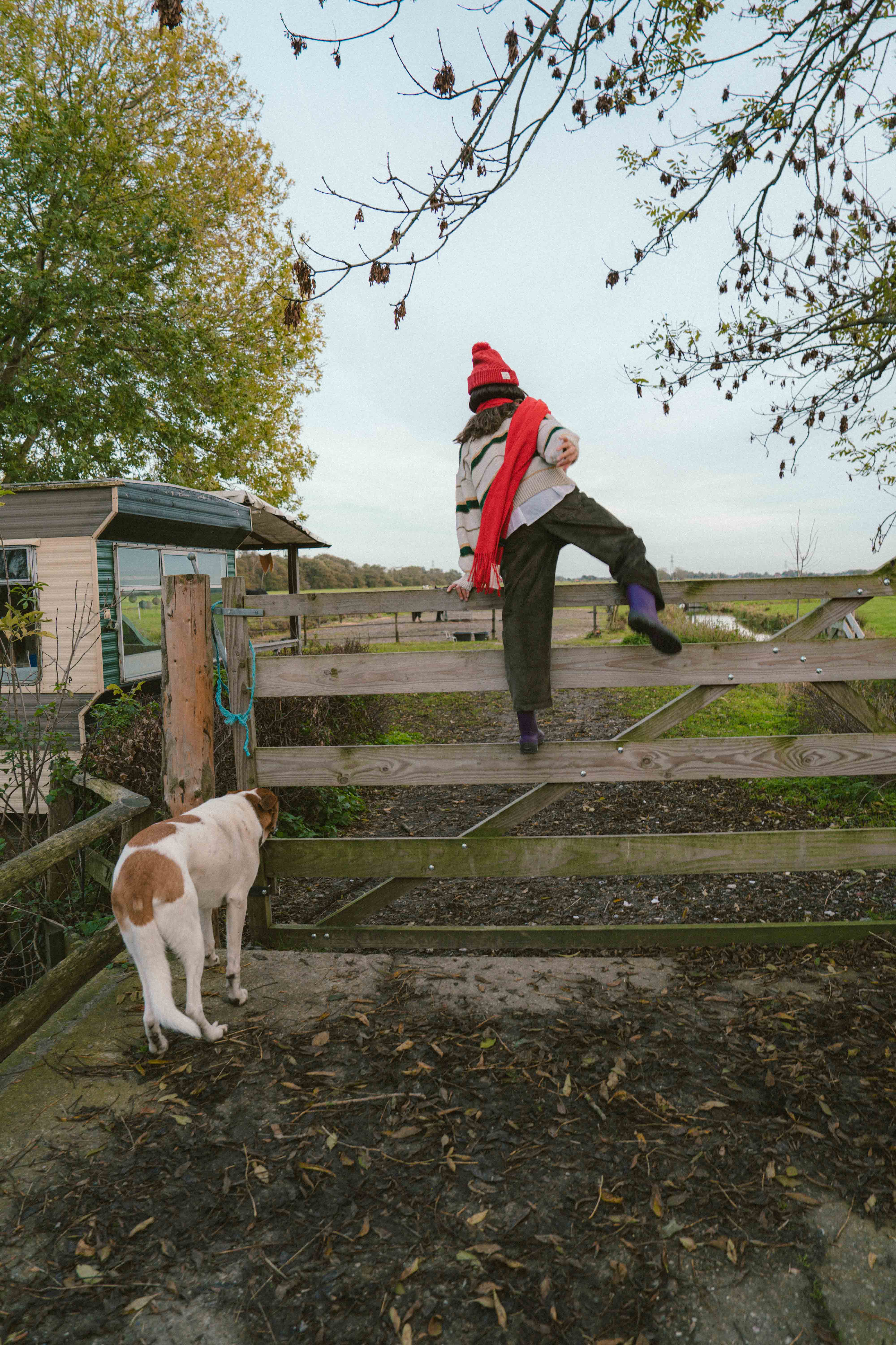 Philou Sancha  portfolio picture #021