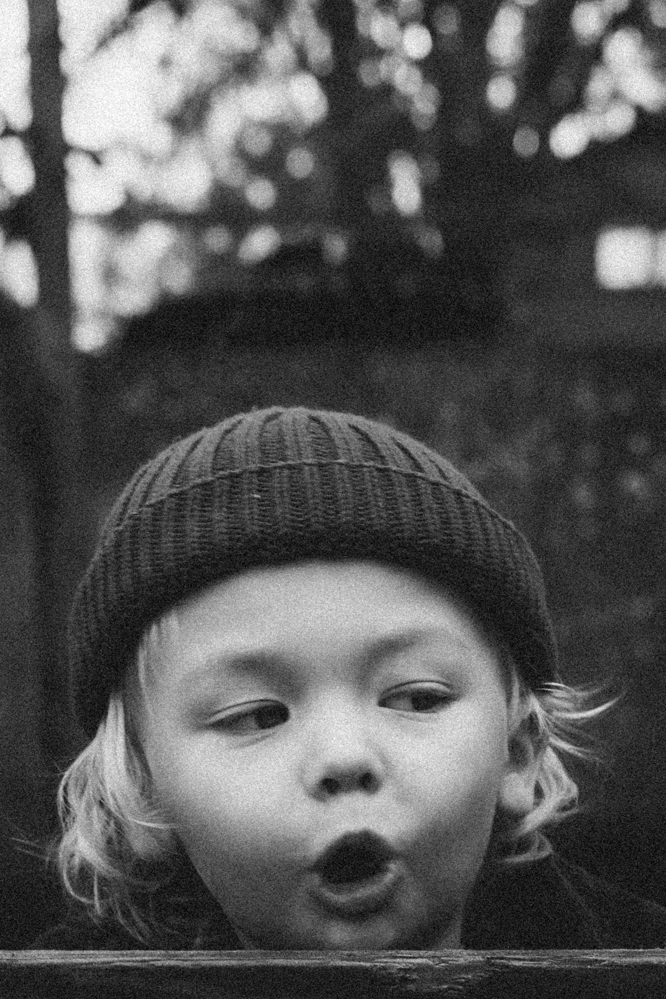 Boris O. profile picture 2