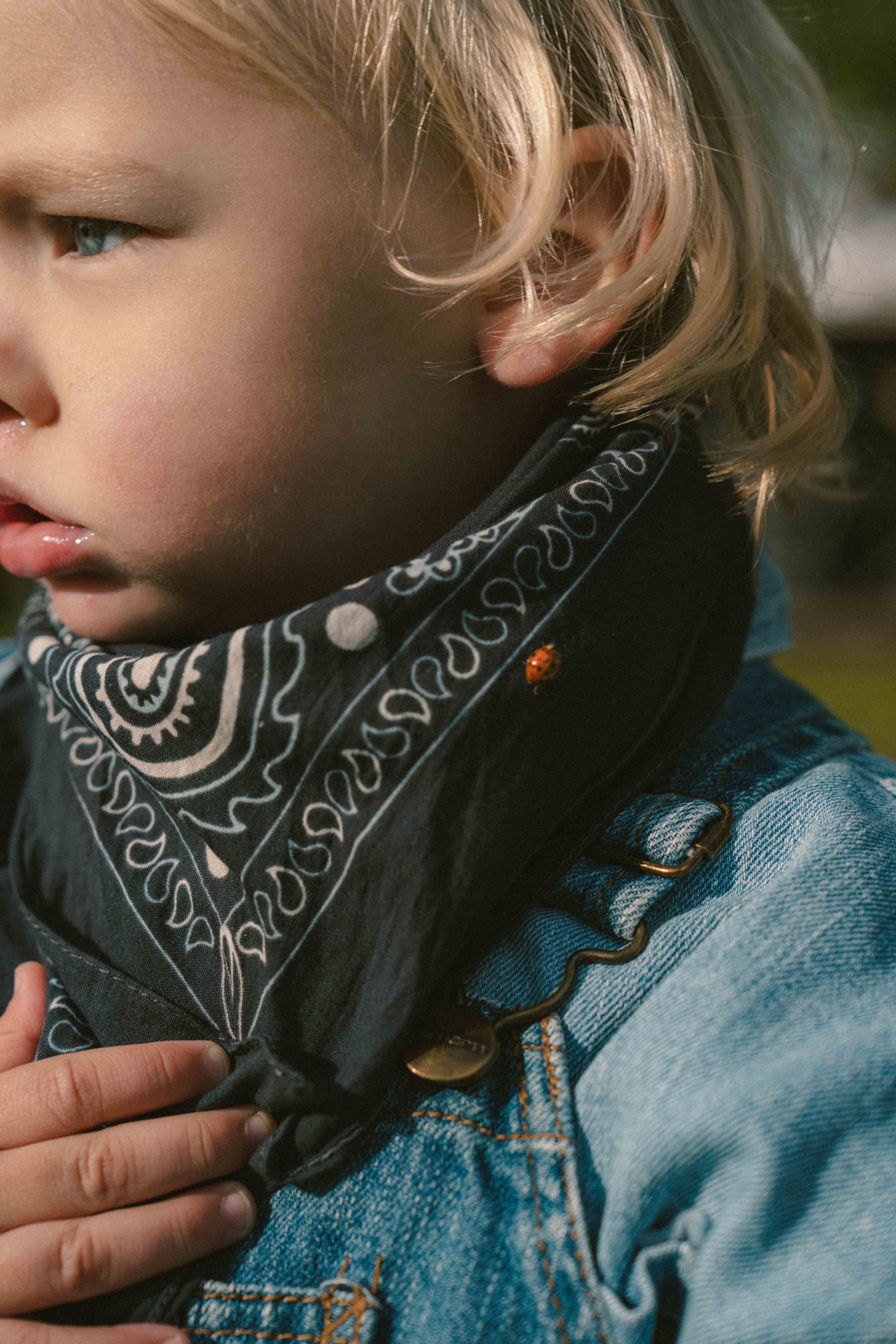 Boris Ooms portfolio picture #003