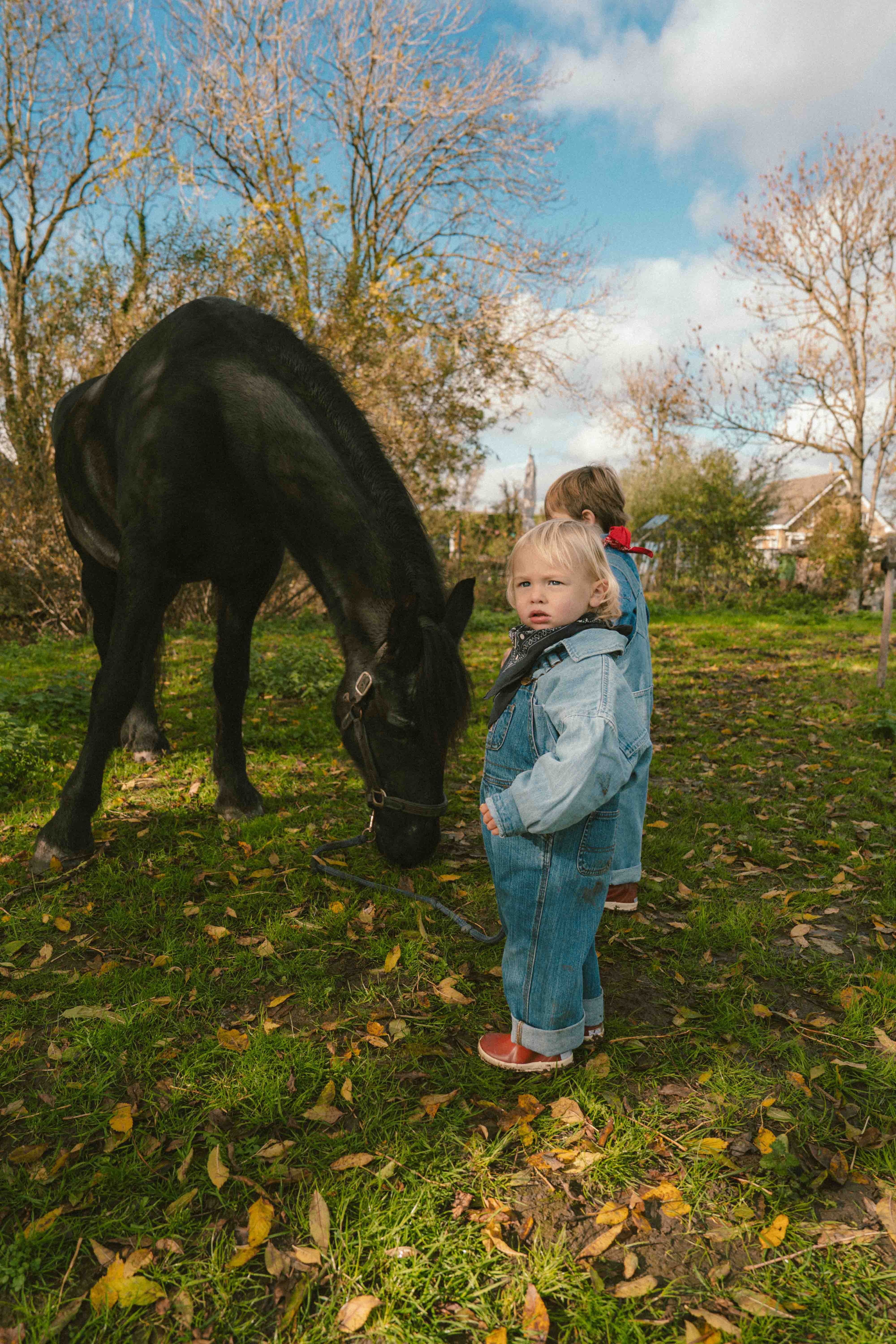 Boris Ooms portfolio picture #005