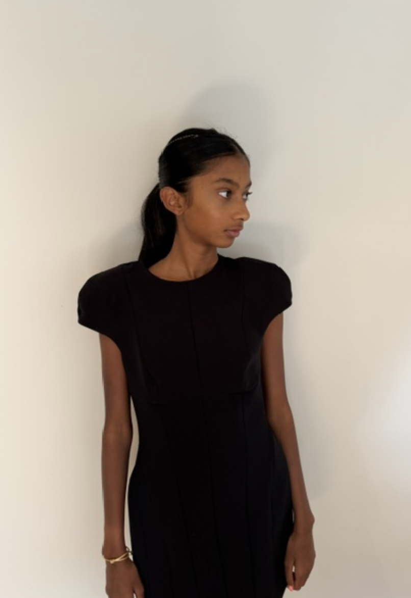 Lavanya D. portfolio picture #007