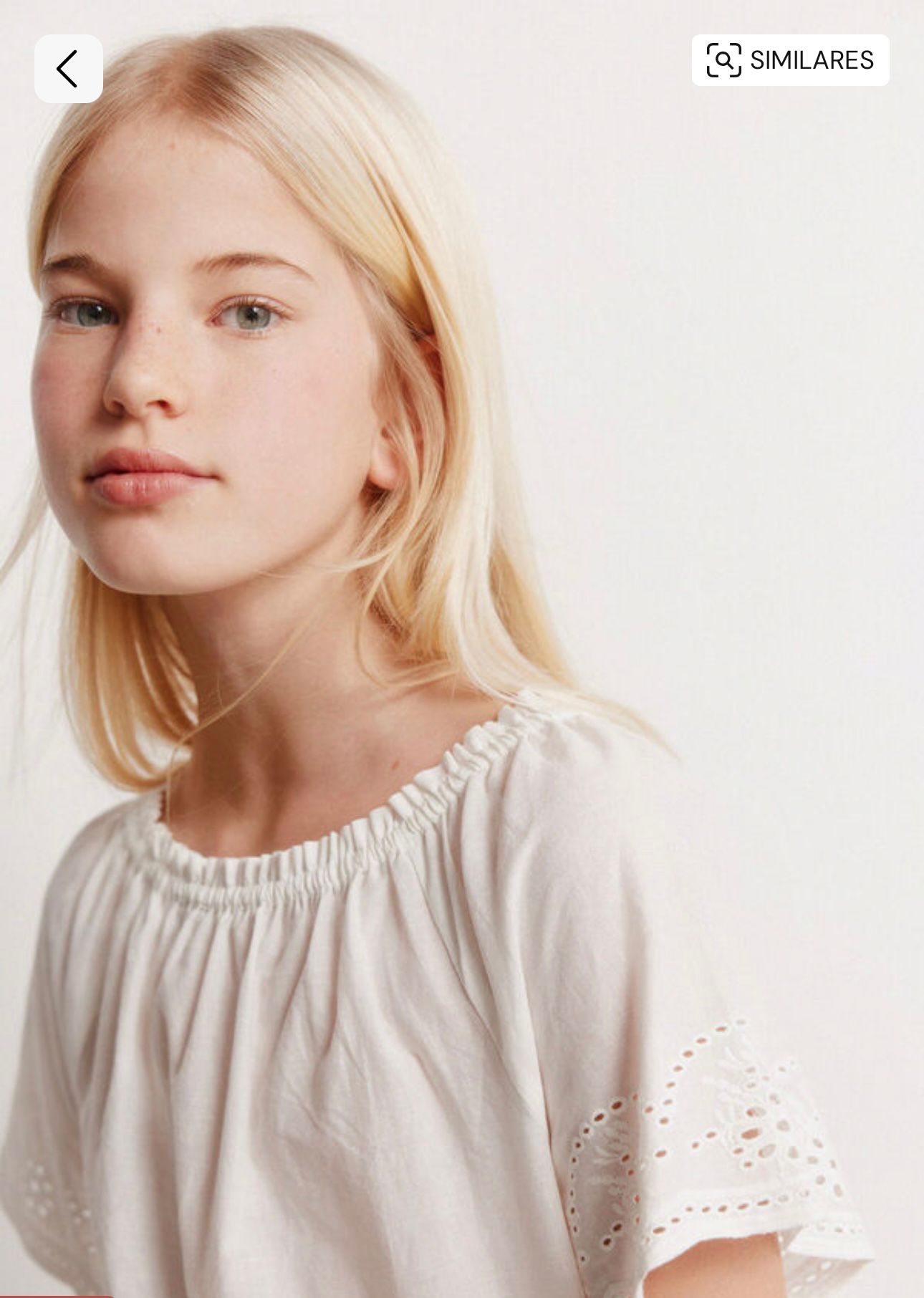 kidz management for springfield item #001