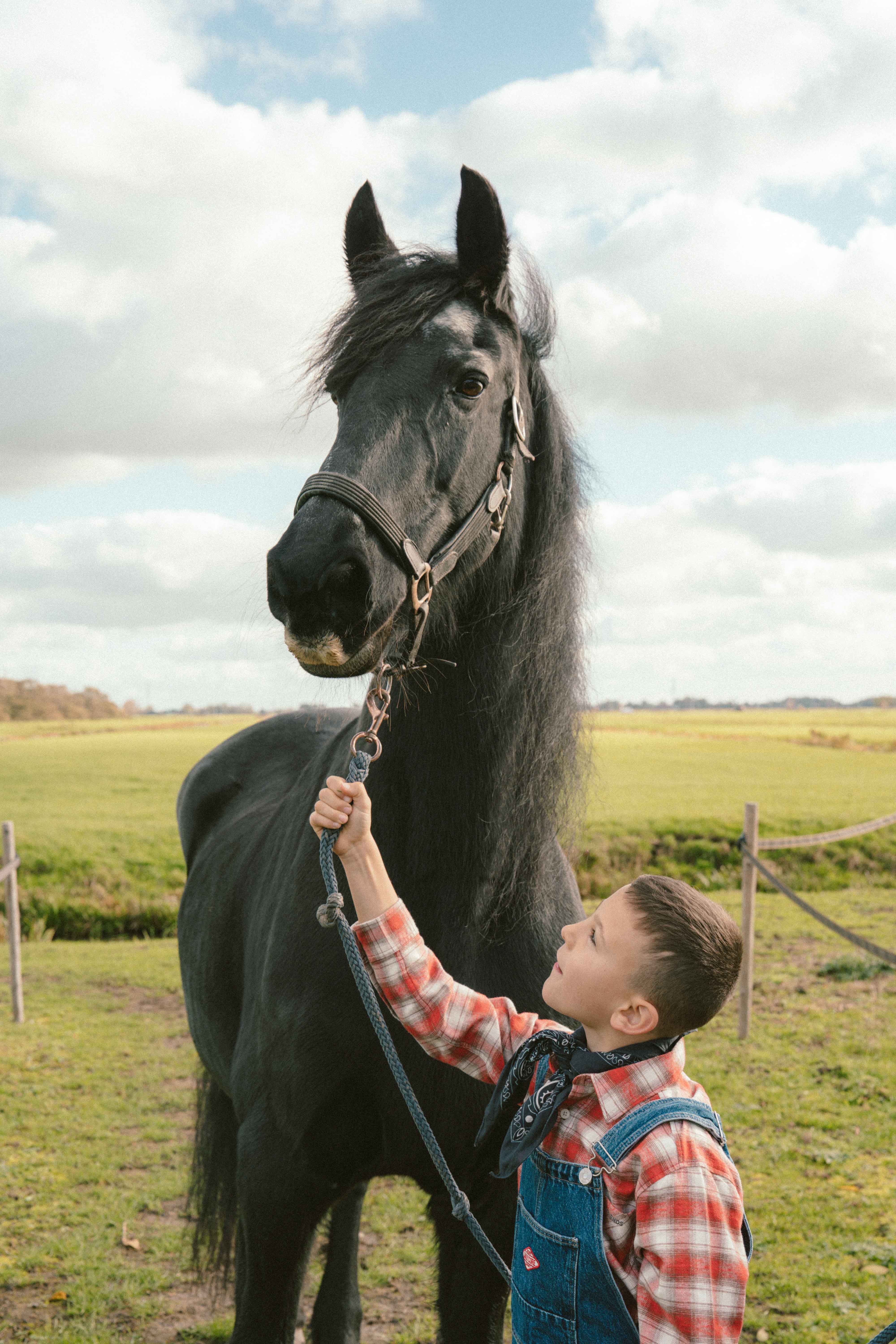 Nico Zimmermann  portfolio picture #007